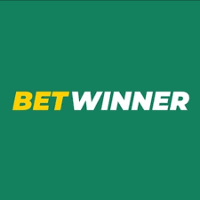 Explore Exciting Gaming Opportunities at Betwinner Casino